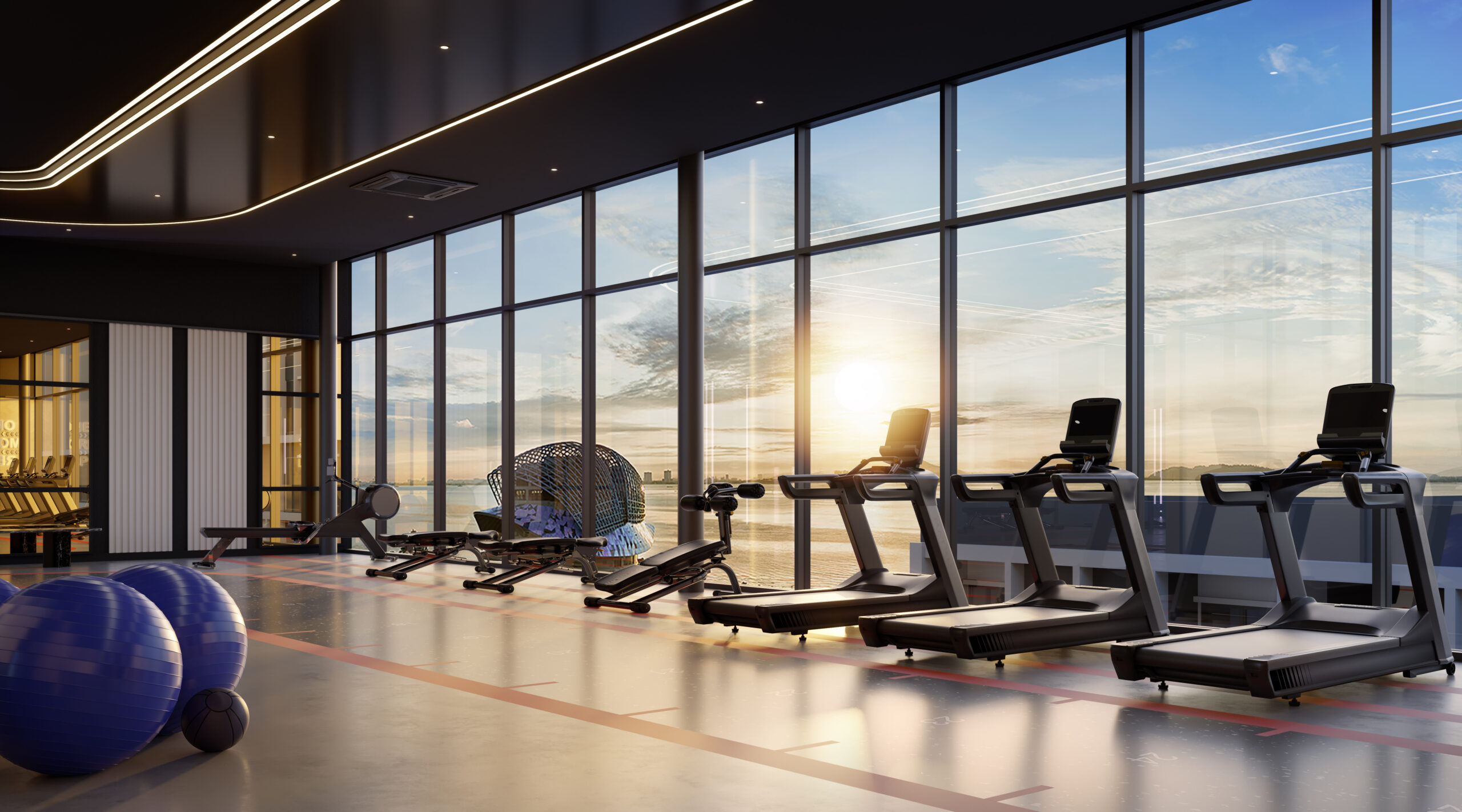 12. gym
