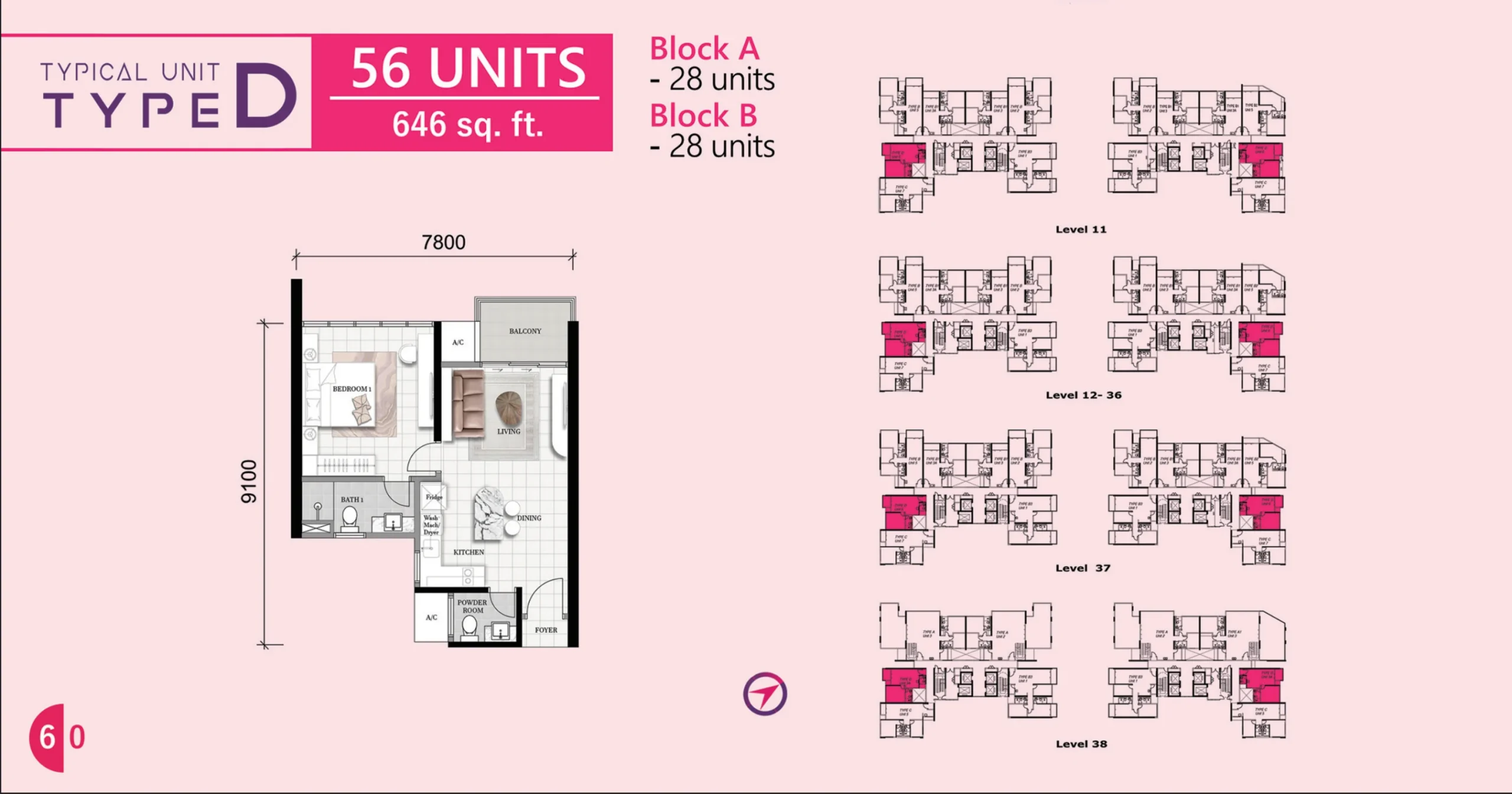 Type D — 646 sqft