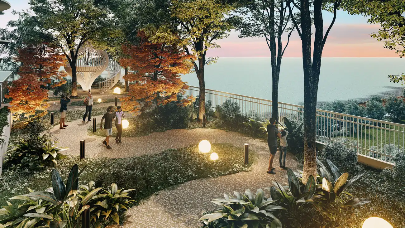 The Pier forest walk